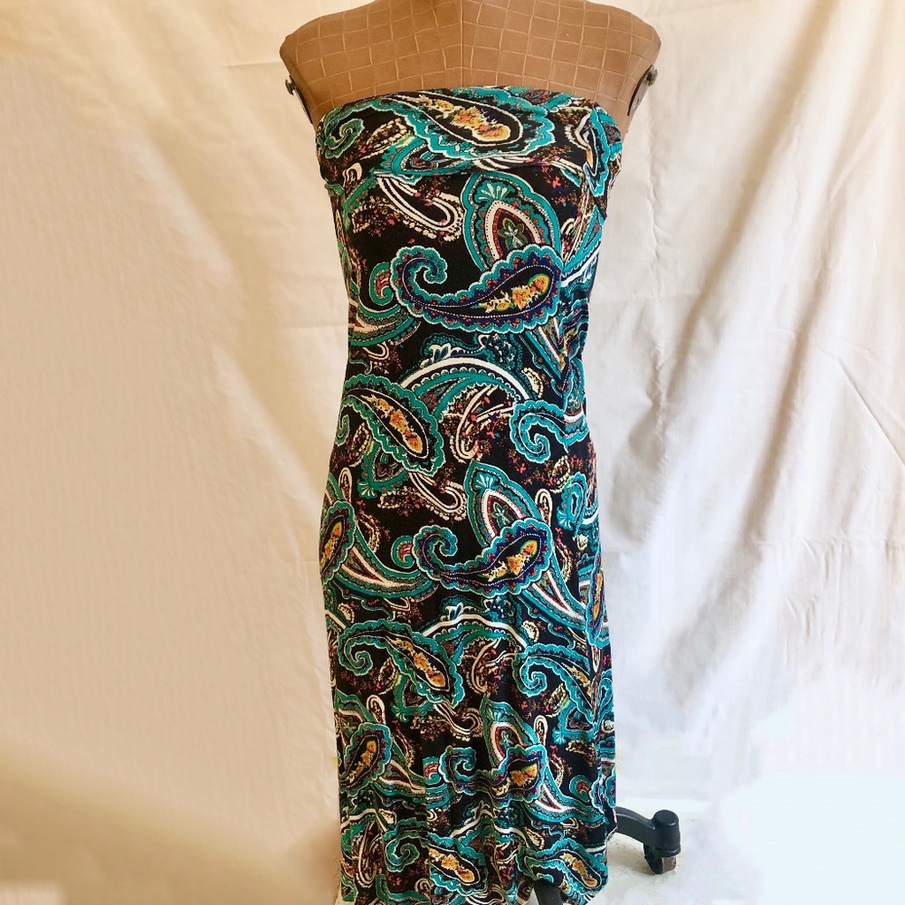 NWOT Paisley Maxi Dress/Skirt